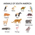 South of American animals on a white background.Flat cartoon illustration